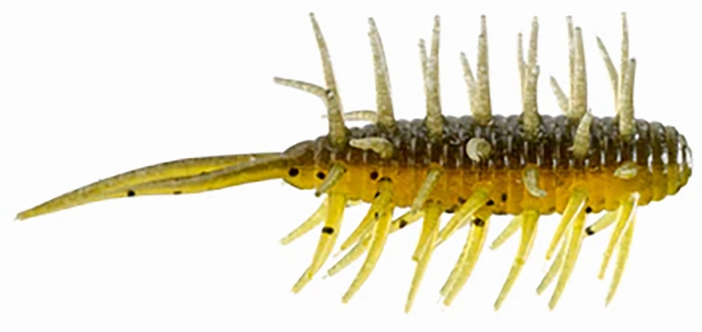 HIDEUP Coike Medium Shrimp - 3 Inch