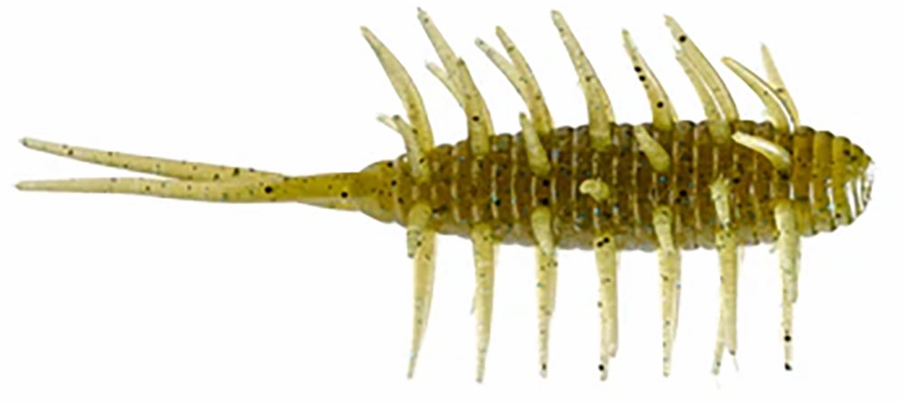 HIDEUP Coike Medium Shrimp - 3 Inch