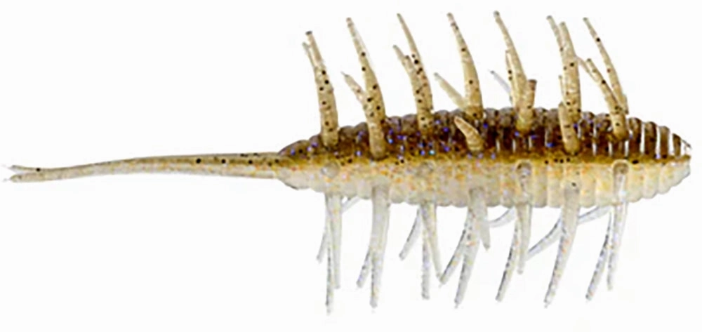 HIDEUP Coike Medium Shrimp - 3 Inch