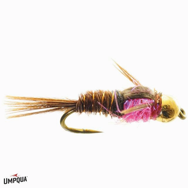 Hot Belly Pheasant Tail Nymph