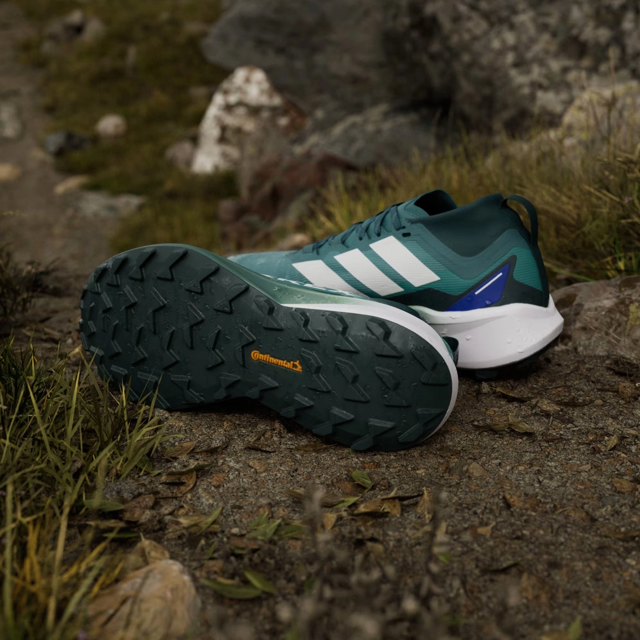Easy On Off Adidas Terrex Agravic Gtx Trail Running Shoes Preloved Teal / Cloud White / Semi Lucid Blue