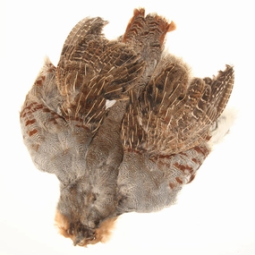 Hungarian Partridge Skin