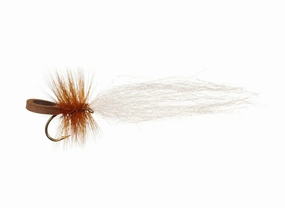 J's Cottonwood Seed