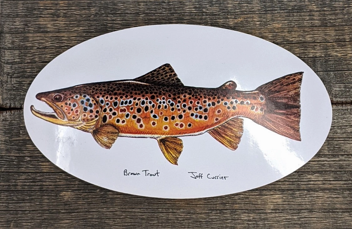 Jeff Currier Decals