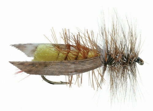 JOE'S HOPPER