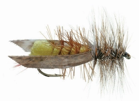 JOE'S HOPPER