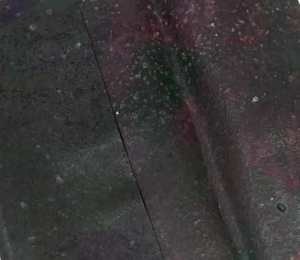 Kiley's Exo Skin