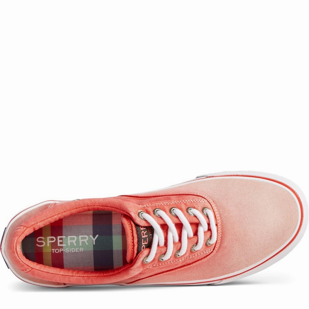Sperry Striper Ii Cvo Ombre Lace Shoes Comfort Heel