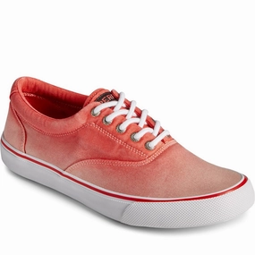 Sperry Striper Ii Cvo Ombre Lace Shoes Flat Feet Shoes Rugged