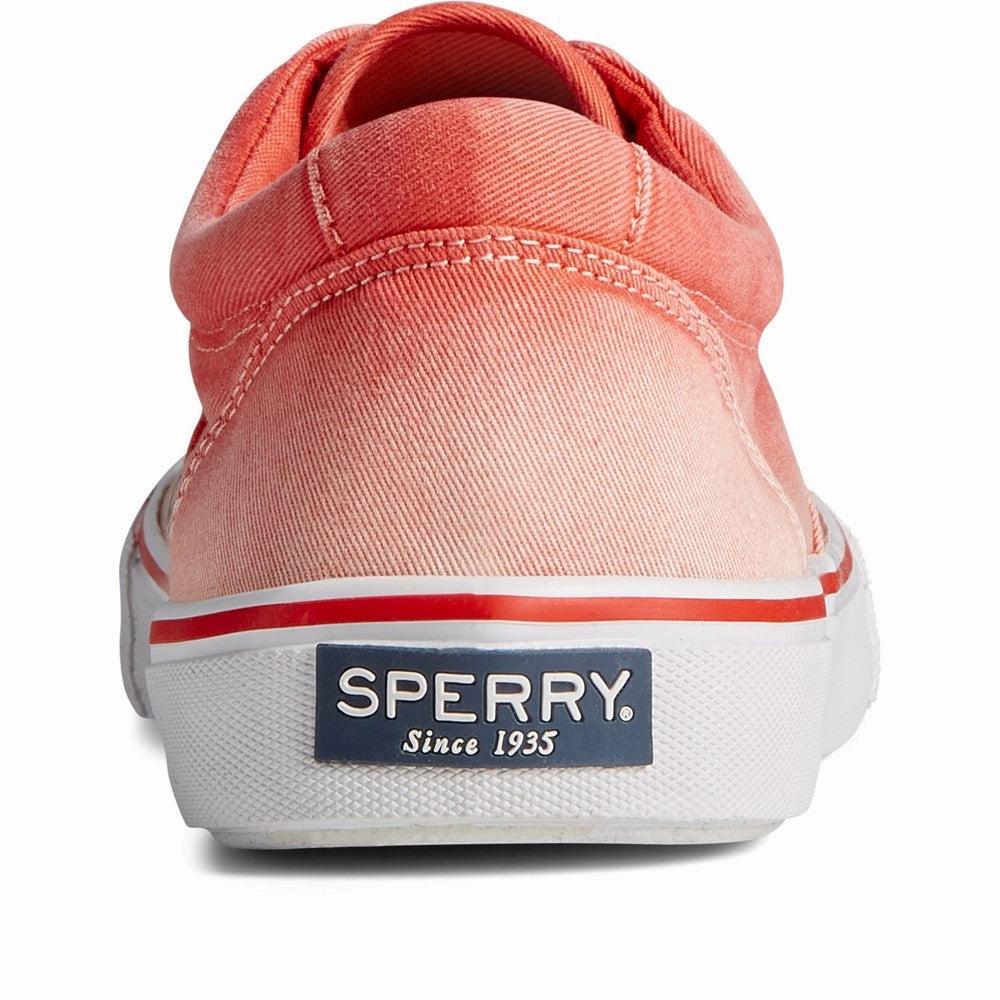 Sperry Striper Ii Cvo Ombre Lace Shoes Casual Footwear