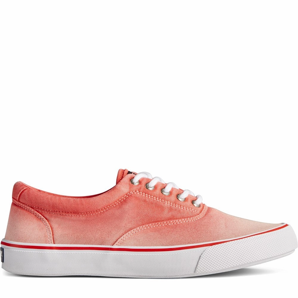 Sperry Striper Ii Cvo Ombre Lace Shoes Statement Footwear