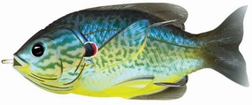 LIVETARGET Hollow Body Sunfish
