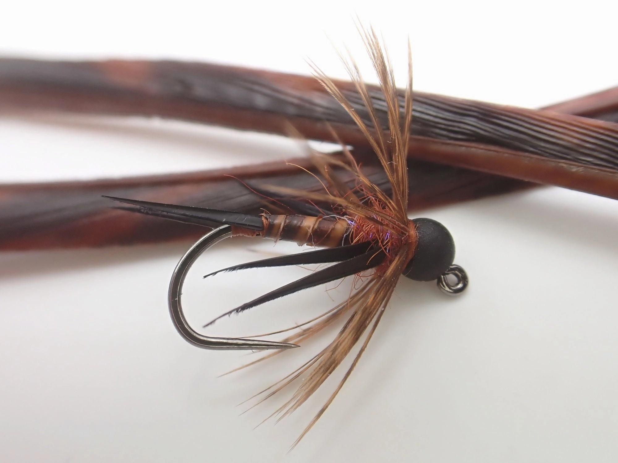 Magpie Wild Barred Turkey Biot Quills
