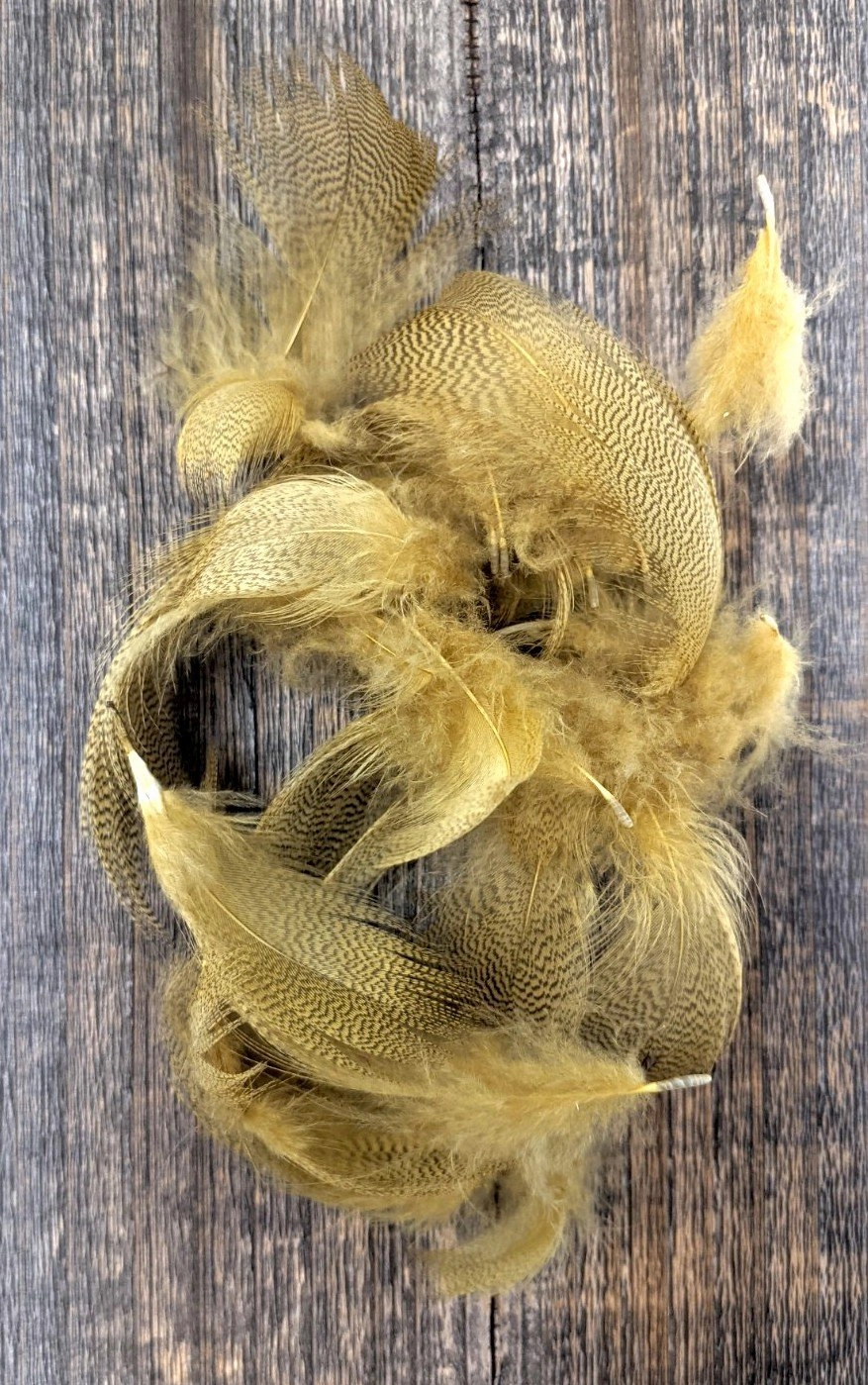 Mallard Barred Flank