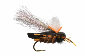 Mason's Hipster Doofus Cicada
