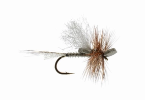 Mason's Mighty Morsel Mayfly