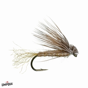 Matthew's X Caddis