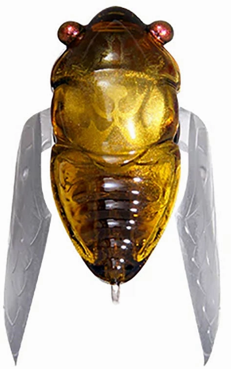 Megabass Great Hunting Haruzemi Topwater Cicada - 1 Inch