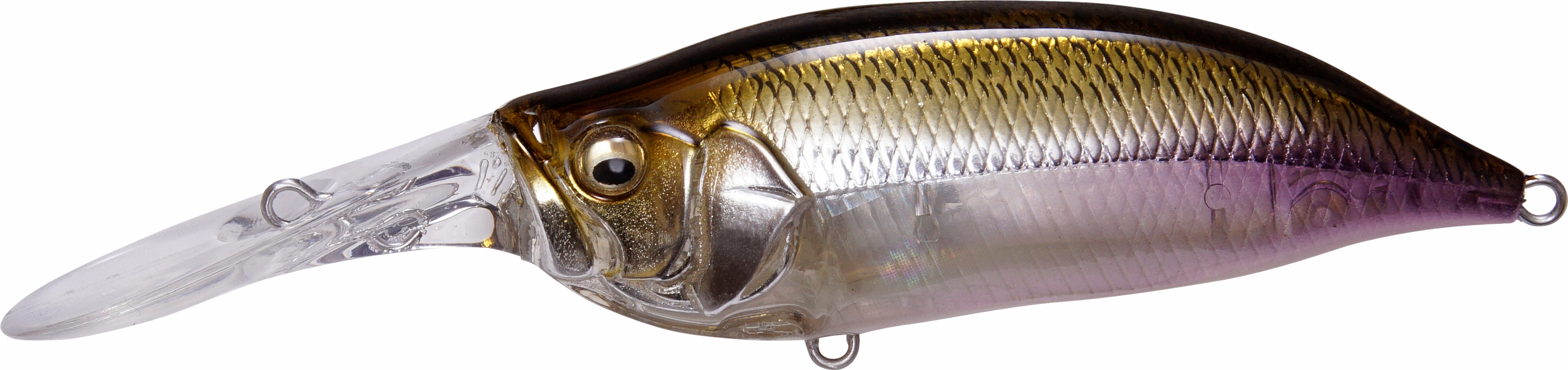 Megabass IXI Shad Type 3 Medium Diving Crankbait