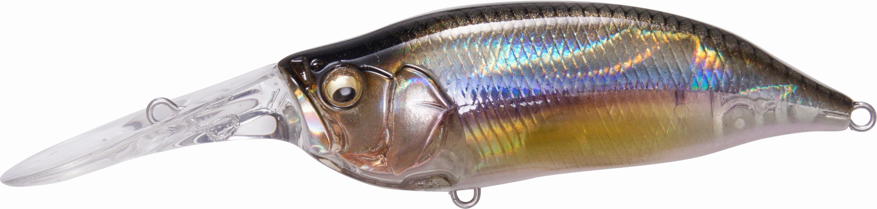 Megabass IXI Shad Type 3 Medium Diving Crankbait