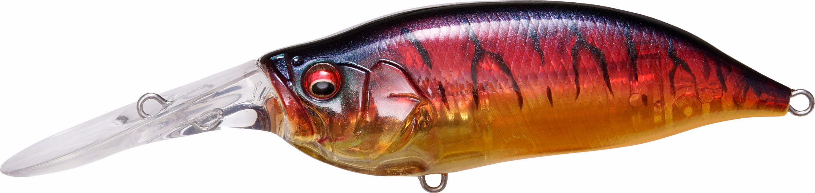 Megabass IXI Shad Type 3 Medium Diving Crankbait