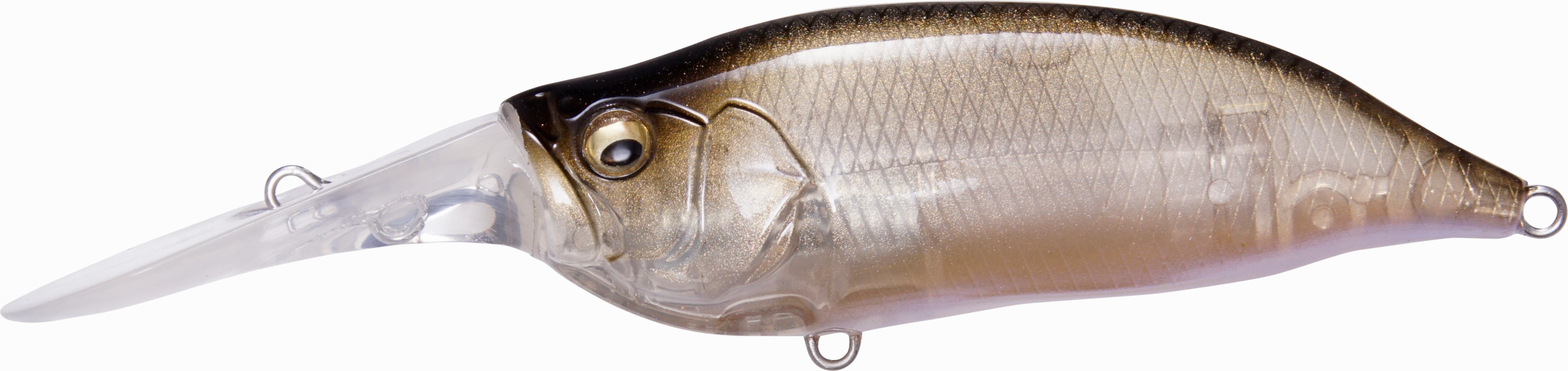 Megabass IXI Shad Type 3 Medium Diving Crankbait