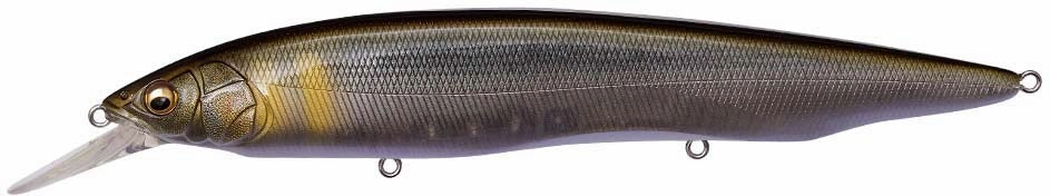 Megabass Kanata  1