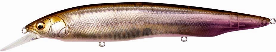 Megabass Kanata  1