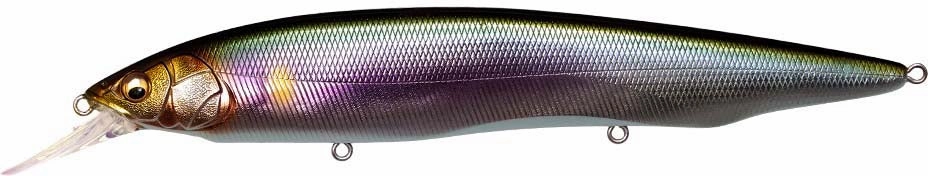 Megabass Kanata  1