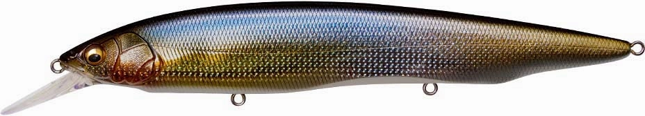 Megabass Kanata  1