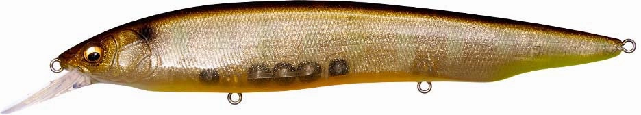Megabass Kanata  1