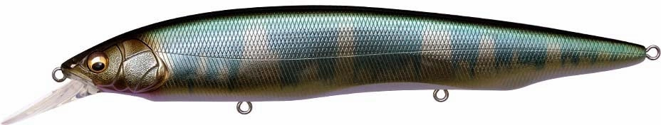 Megabass Kanata  1