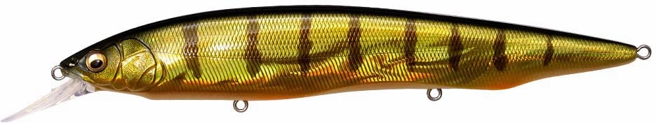 Megabass Kanata  1