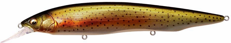 Megabass Kanata  1