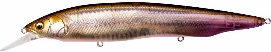 Megabass Kanata  1