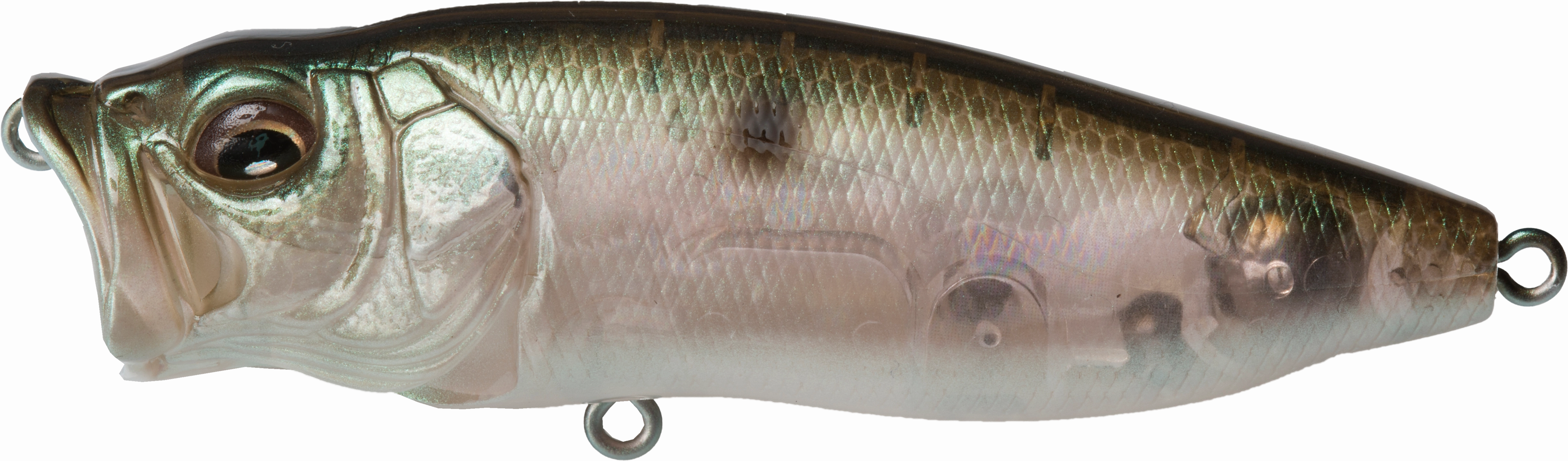 Megabass PopMax Topwater Popper