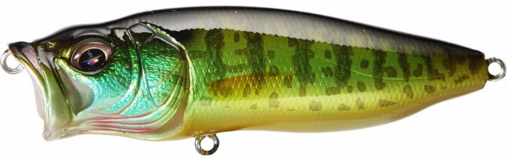 Megabass PopMax Topwater Popper