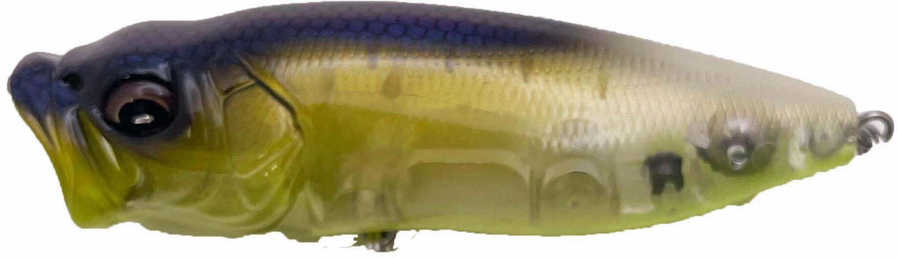 Megabass PopMax Topwater Popper