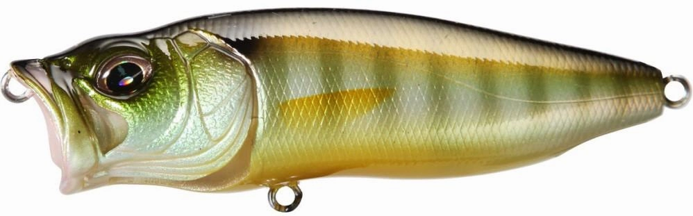 Megabass PopMax Topwater Popper