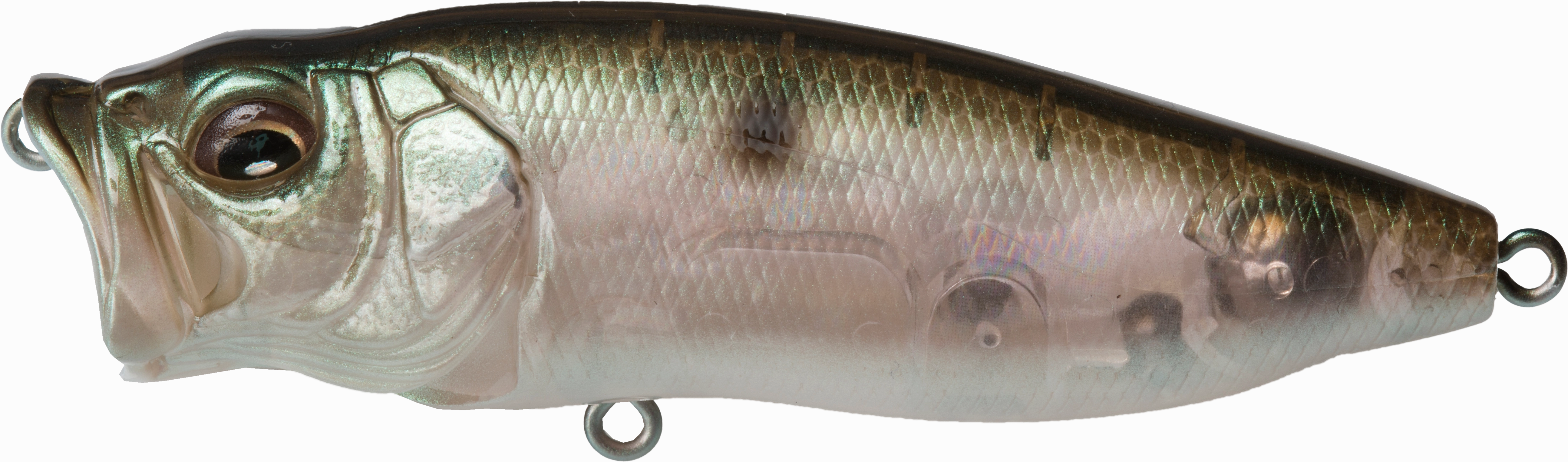 Megabass PopMax Topwater Popper