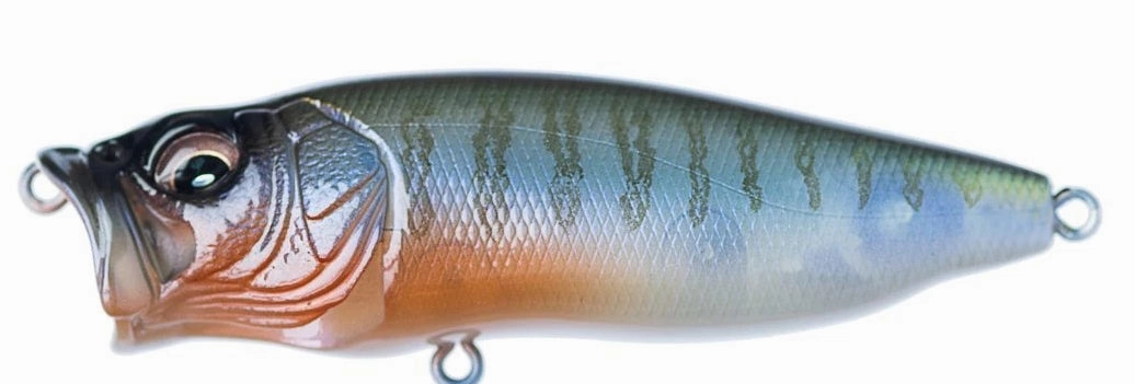 Megabass PopMax Topwater Popper