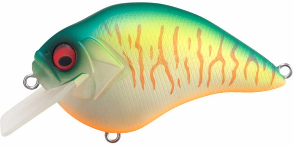 Megabass S Crank 1.2 Shallow Squarebill Crankbait