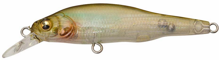Megabass X-80 JR (BFS)