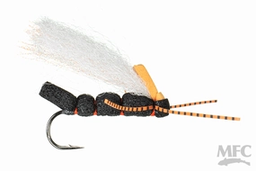 MFC Cook's Cicada Periodic- 04