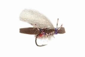 Micro Purple Bruce