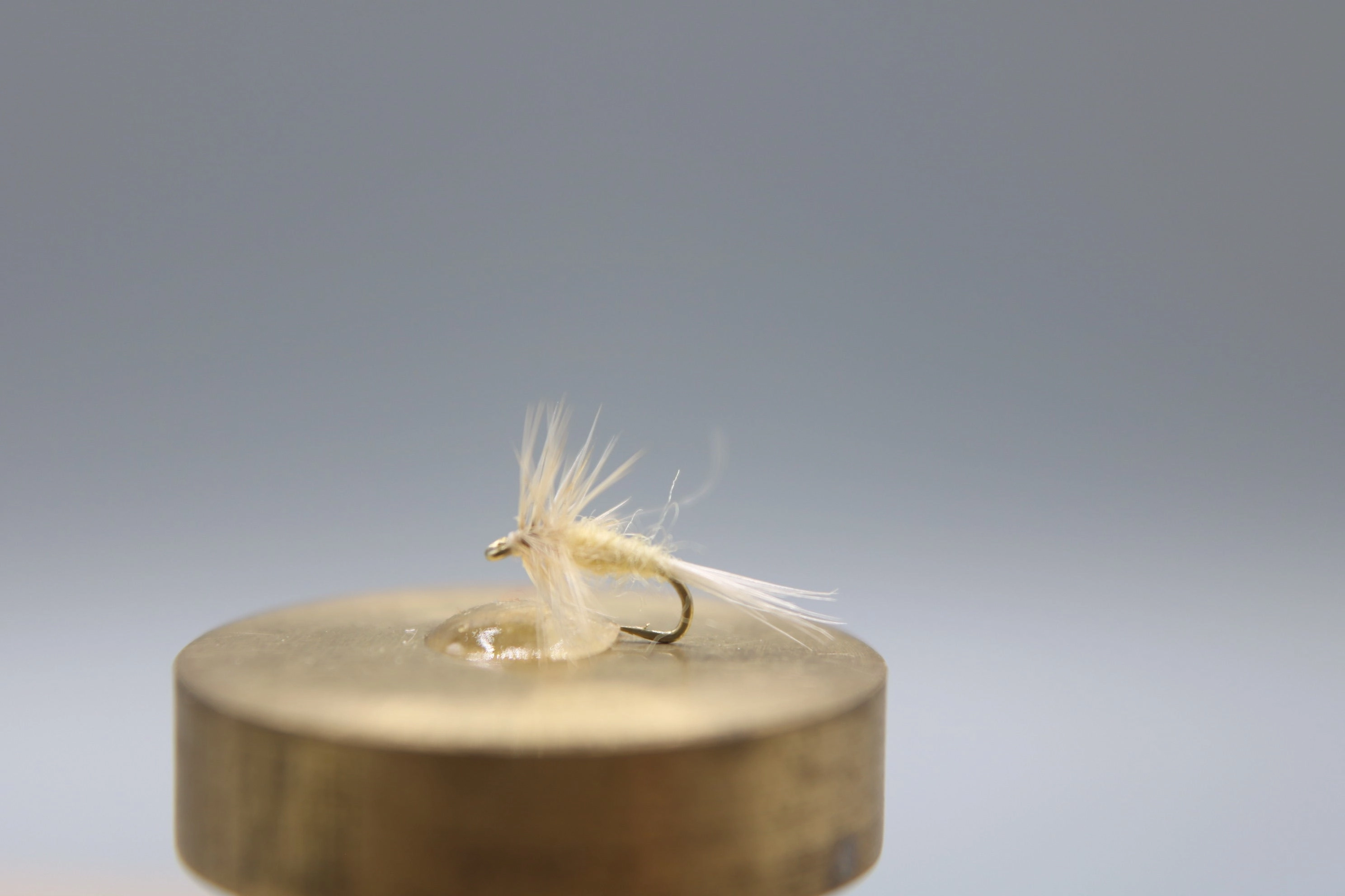 Midge Dry