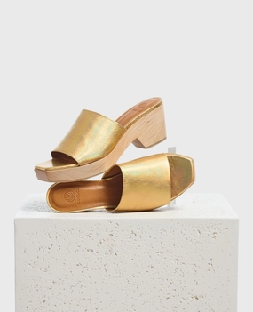 Rugged Durable Mist Clog