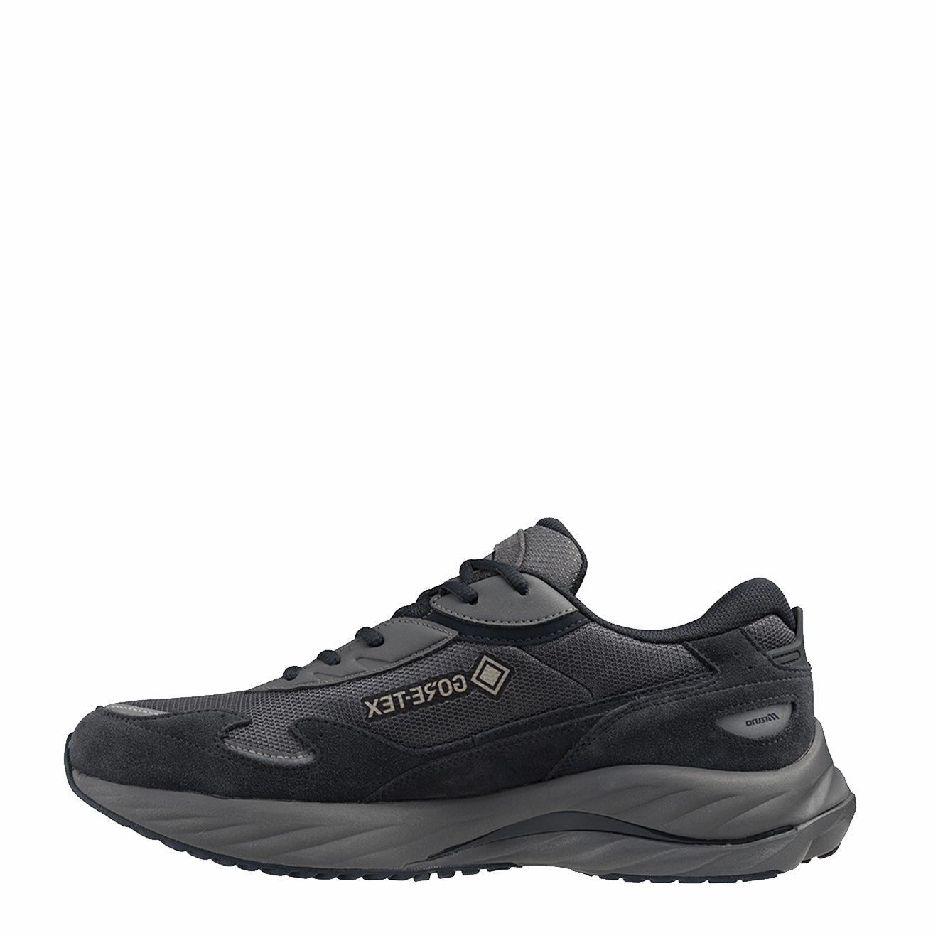 Daylong Comfort Mizuno Wave Rider ? Gtx Quiet Shade / Vulcan / Silver