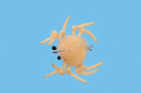 Money Crab