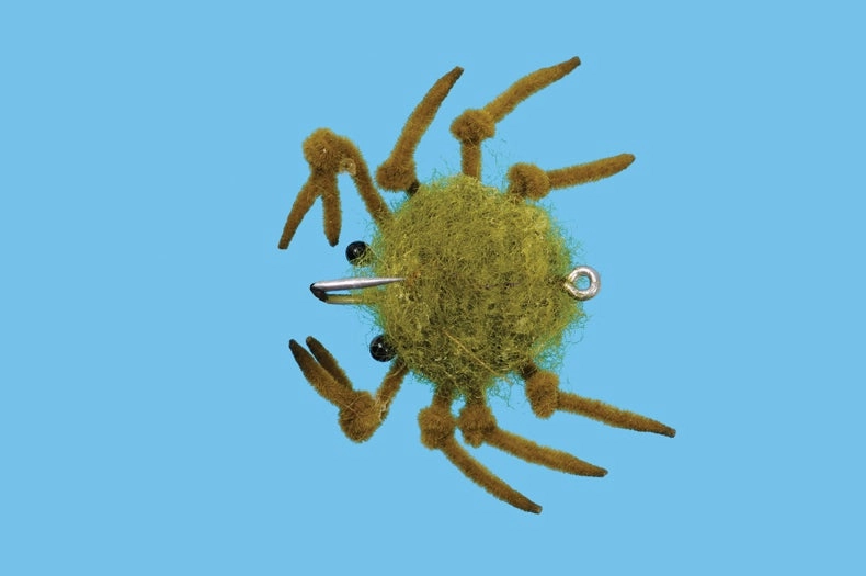 Money Crab